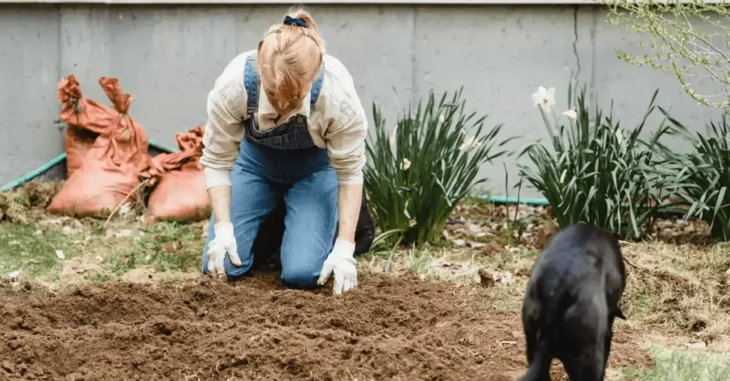 A woman preparing the soil for sustainable gardening.