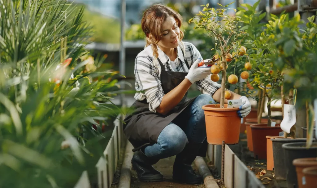 Woman tending to a fruit tree in a bucket, promoting sustainable gardening.
