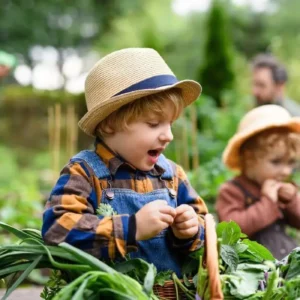 Organic Gardening for Newbies