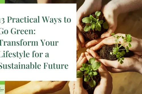 13 Practical Ways to Go Green: Transform Your Lifestyle for a Sustainable Future