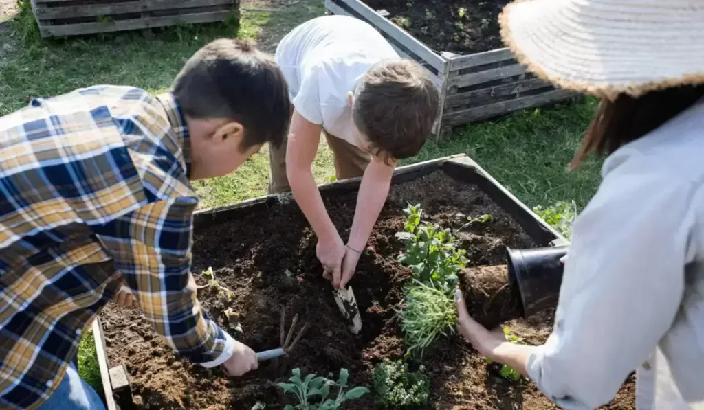 Eco-Conscious Parents