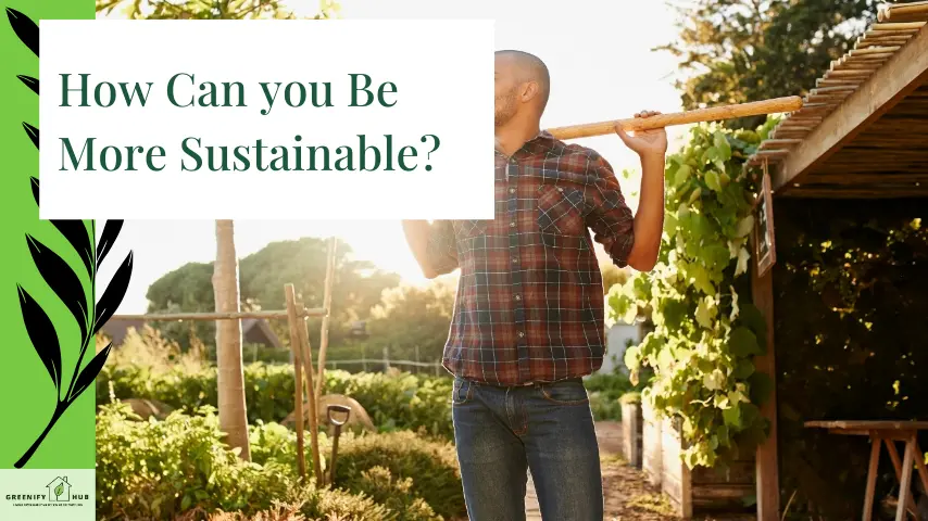 How Can you Be More Sustainable