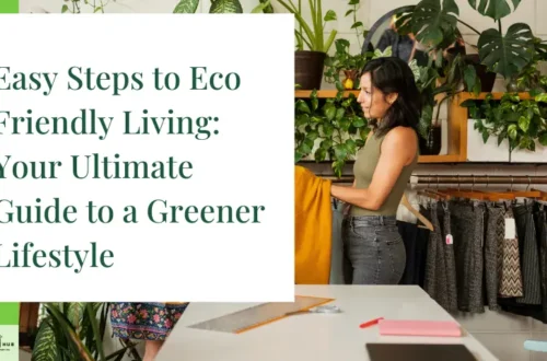 Practical Steps to Eco Friendly Living Your Ultimate Guide to a Greener Lifestyle