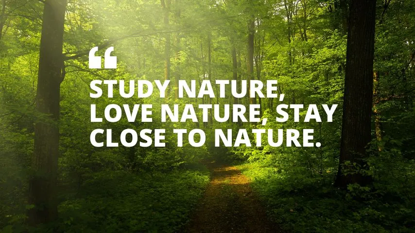 study nature, love nature, stay close to nature