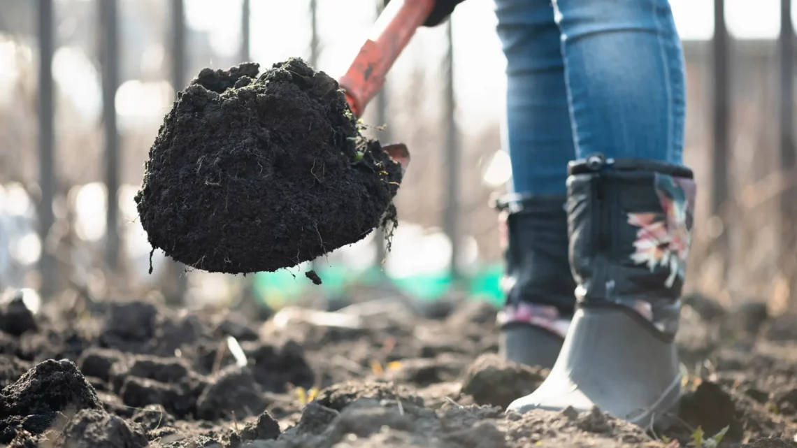 Preparing Your Garden Soil for the Next Year