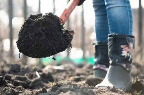 Preparing Your Garden Soil for the Next Year