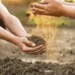 Making Organic Soil for a Healthy Vegetable Garden