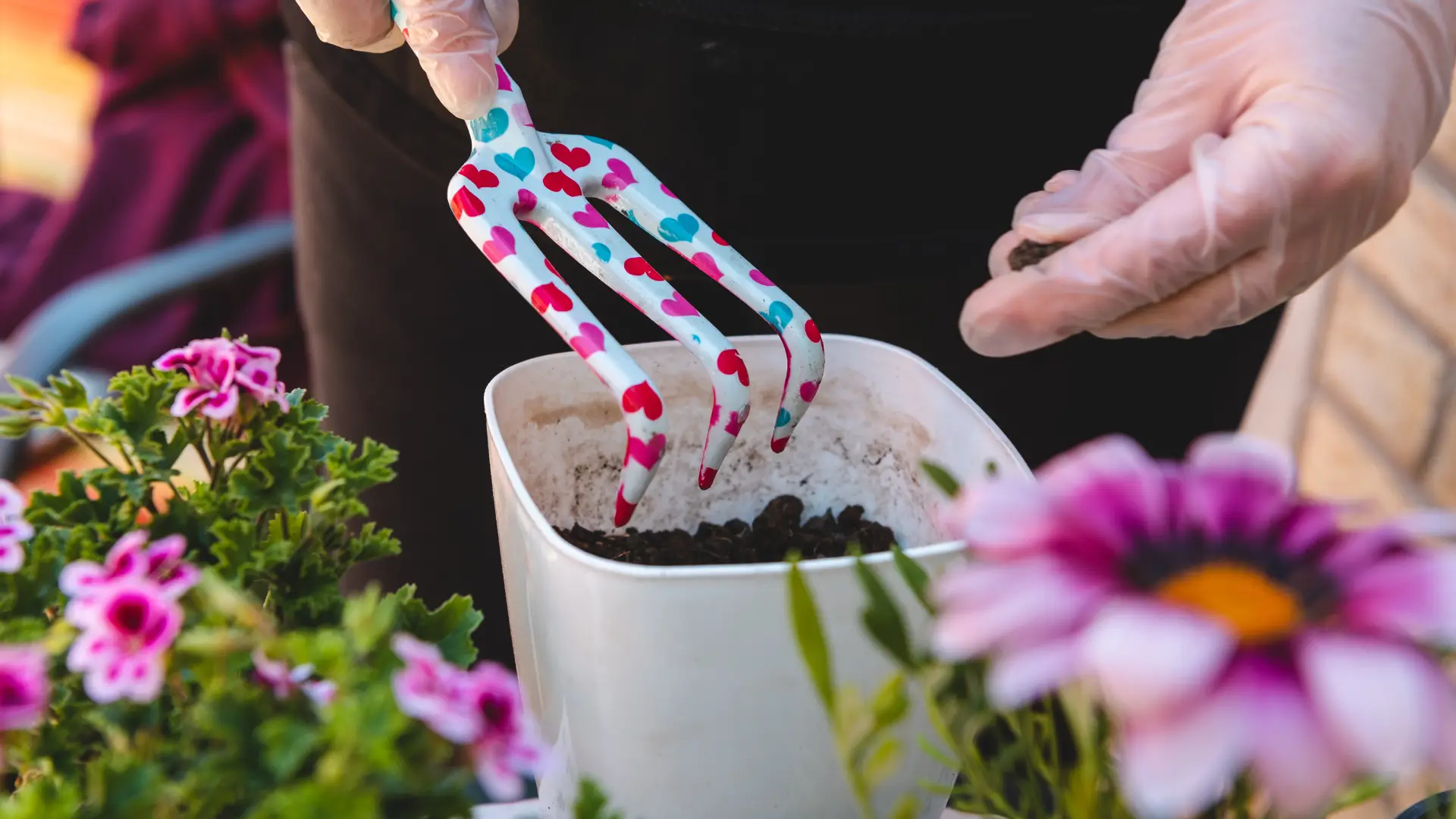 Step-by-Step Guide To Preparing Soil For Planting Flowers