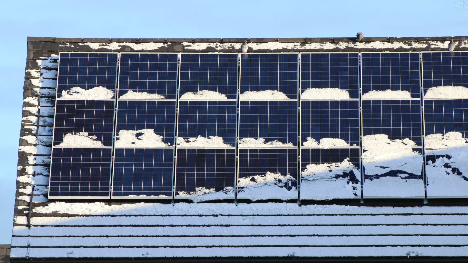 Should You Install Snow Guards for Solar Panels?