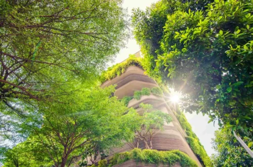 The 4 Pillars of Sustainability: Building a Better Future for Our Planet