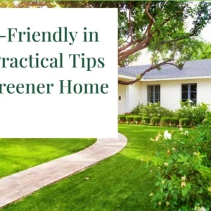 Be Eco-Friendly in 2024 Practical Tips for a Greener Home