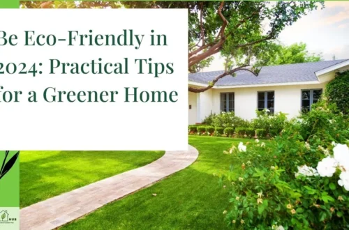 Be Eco-Friendly in 2024 Practical Tips for a Greener Home
