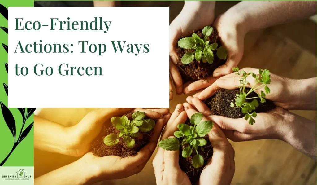Eco-Friendly Actions: Top Ways to Go Green