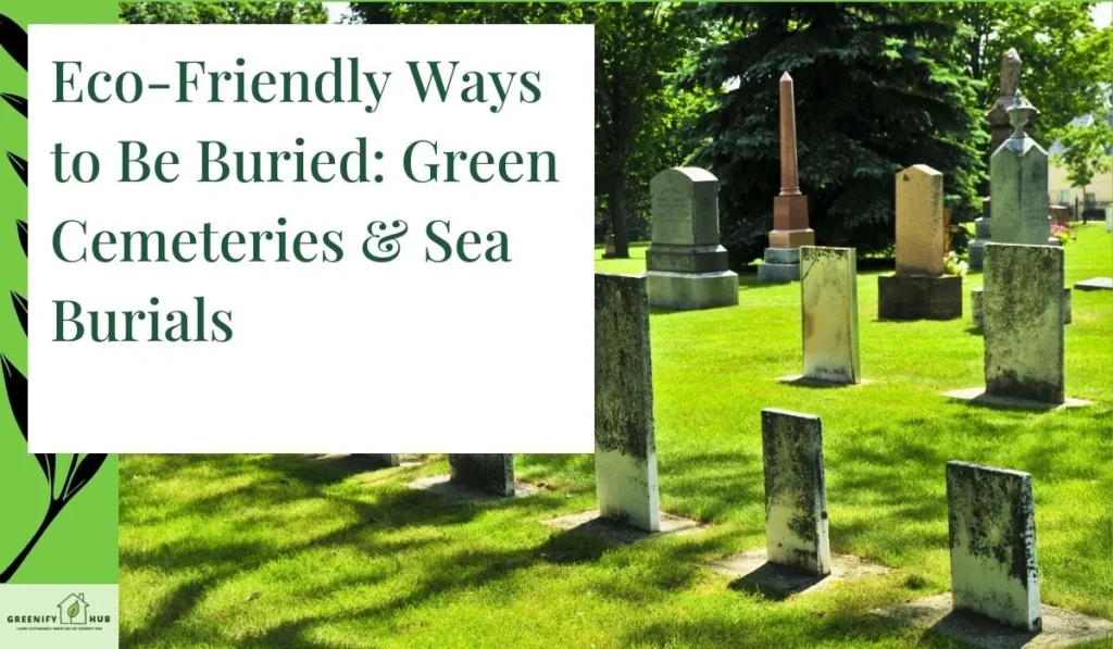 Eco-Friendly Ways to Be Buried: Green Cemeteries & Sea Burials
