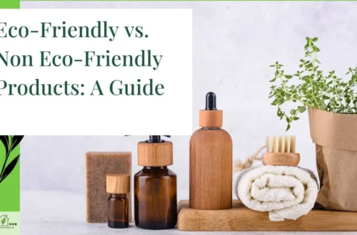 Eco-Friendly vs. Non Eco-Friendly Products: A Guide