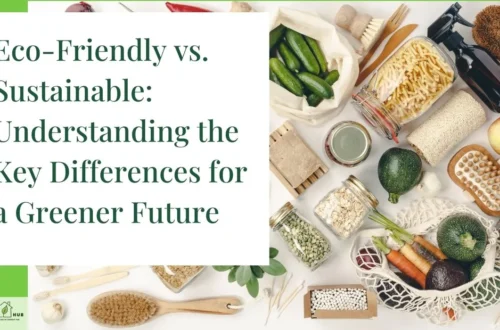 Eco-Friendly vs. Sustainable: Understanding the Key Differences for a Greener Future