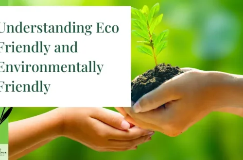 Understanding Eco Friendly and Environmentally Friendly