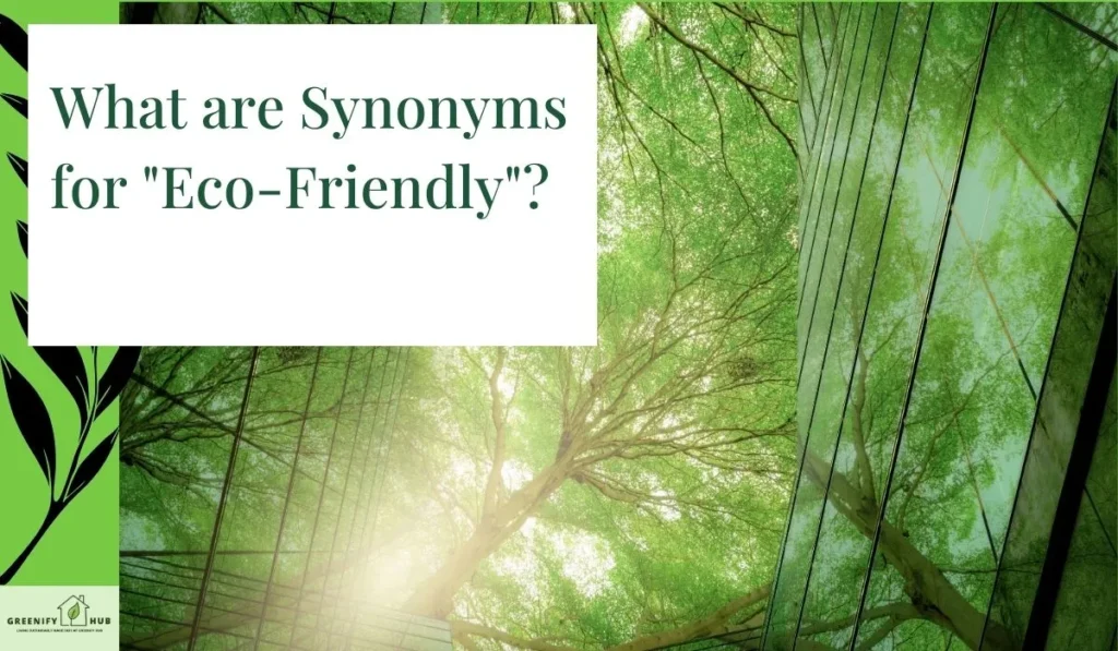 What are Synonyms for "Eco-Friendly"?