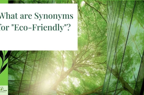 What are Synonyms for "Eco-Friendly"?