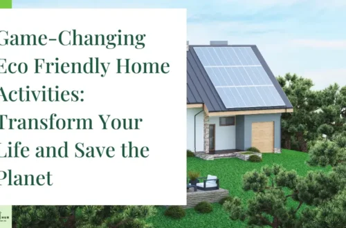 Game-Changing Eco Friendly Home Activities: Transform Your Life and Save the Planet